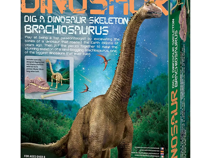4M Komplekt Kaeva välja Brachiosauruse luukere