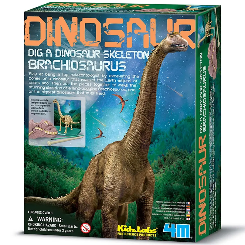 4M Komplekt Kaeva välja Brachiosauruse luukere