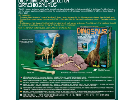 4M Komplekt Kaeva välja Brachiosauruse luukere