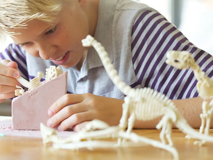 4M Komplekt Kaeva välja Brachiosauruse luukere