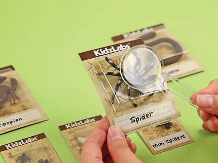 4M komplekt Creepy Crawly Digging