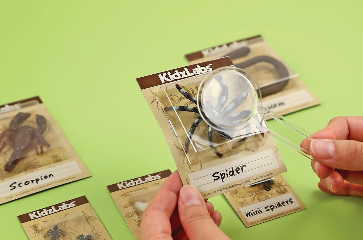 4M komplekt Creepy Crawly Digging