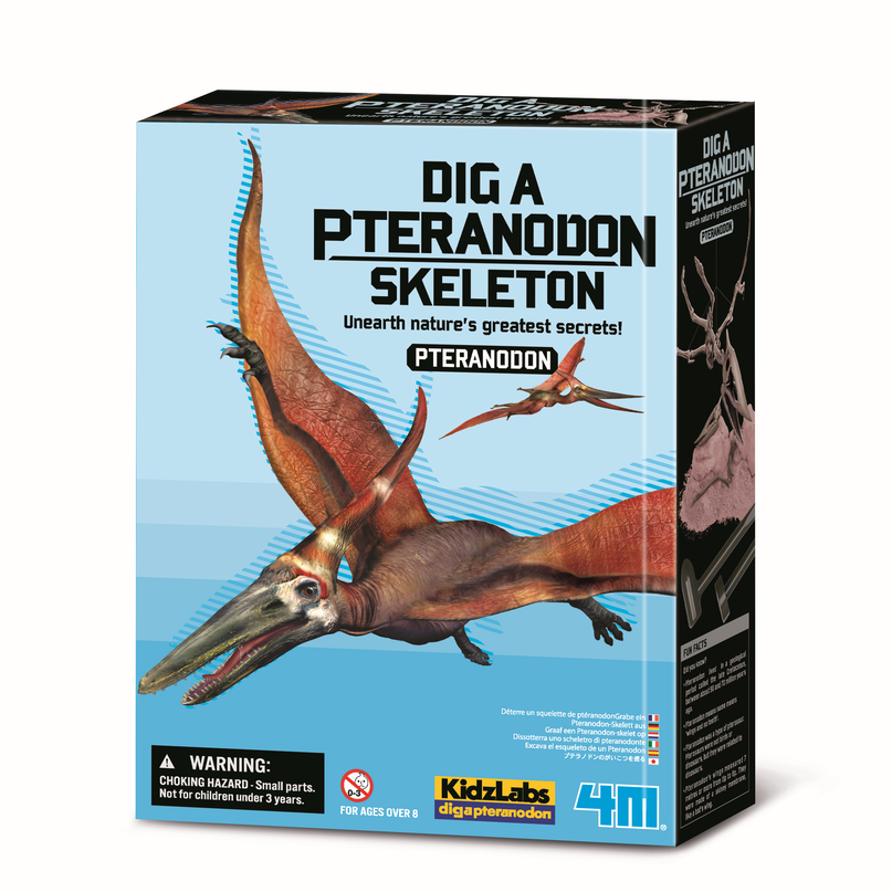 4M Komplekt Kaeva vlja Pteranodon
