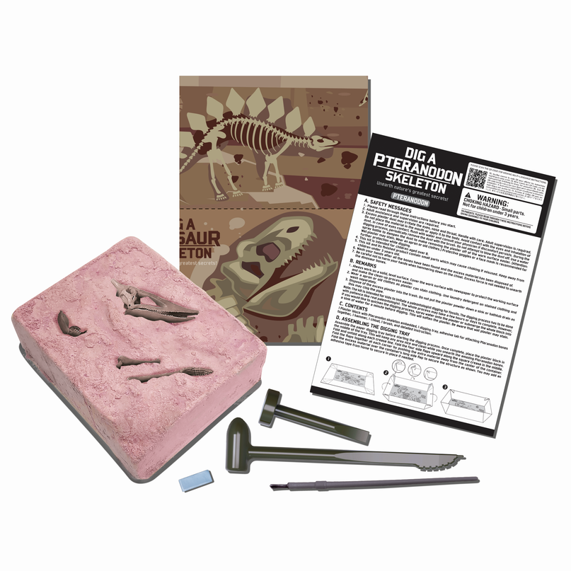 4M Komplekt Kaeva vlja Pteranodon
