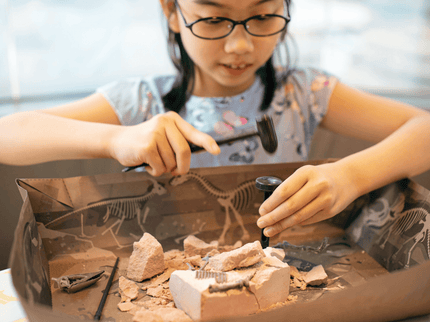 4M Komplekt Kaeva välja Pteranodon