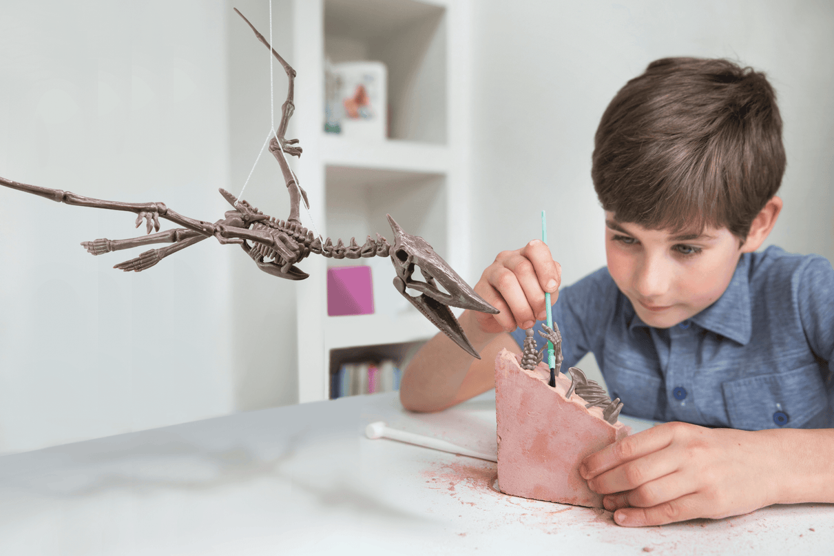 4M Komplekt Kaeva vlja Pteranodon