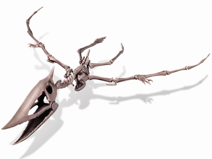 4M Komplekt Kaeva välja Pteranodon