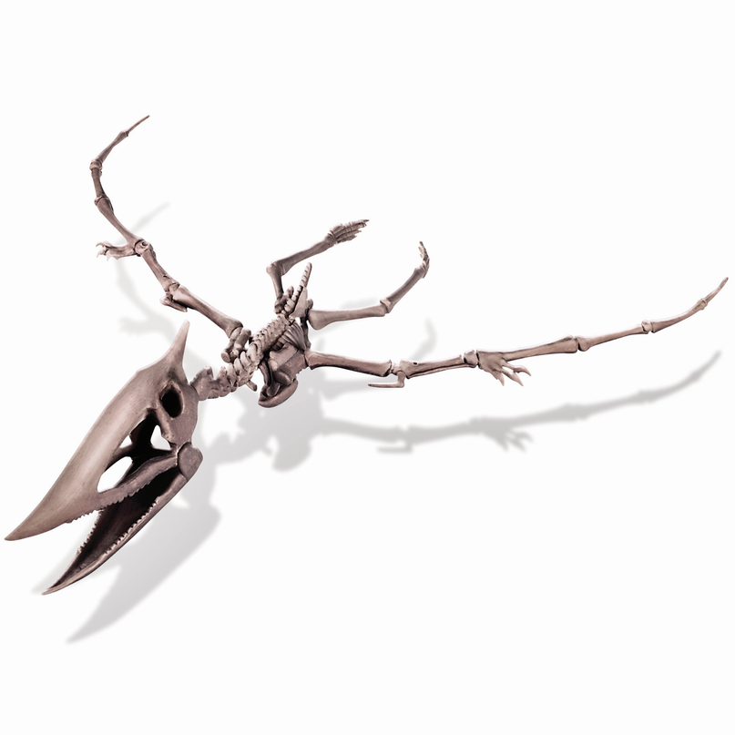 4M Komplekt Kaeva vlja Pteranodon