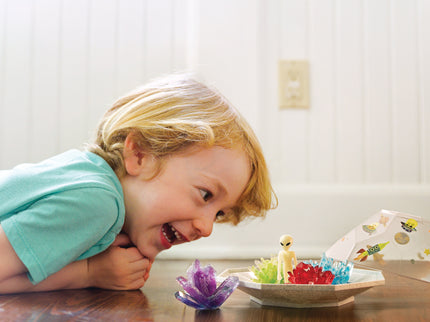 4M Crystal Growing DIY komplekt Kosmose kristall-terraarium