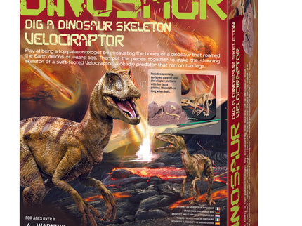 4M Komplekt Kaeva välja Velociraptori luukere