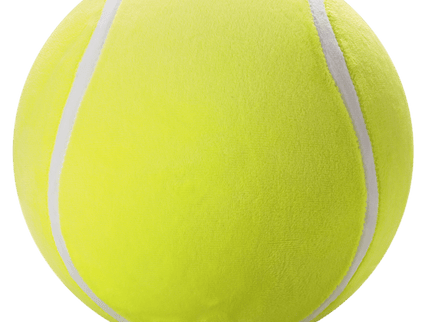 Pall Lit´l Biggie Bouncerz