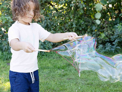 SES megamullid Ämblikuvõrk