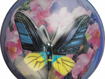 Põlvepall, liblikas