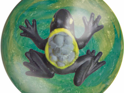 Põrkepall, konn