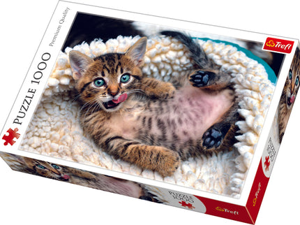 TREFL Pusle Kassipoeg, 1000 osa