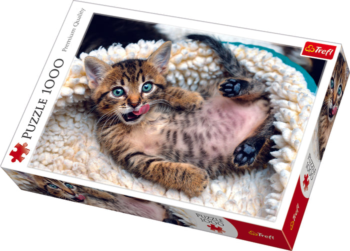 TREFL Pusle Kassipoeg, 1000 osa
