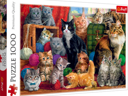 TREFL Pusle Kassipojad, 1000 osa