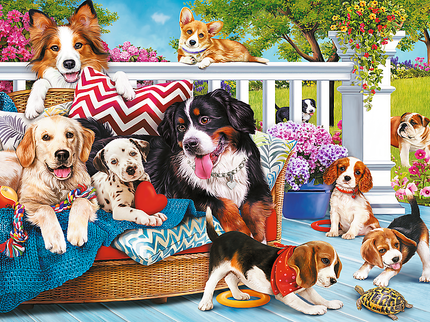 TREFL Prime pusle üliarmsad kutsud, 1000 osa