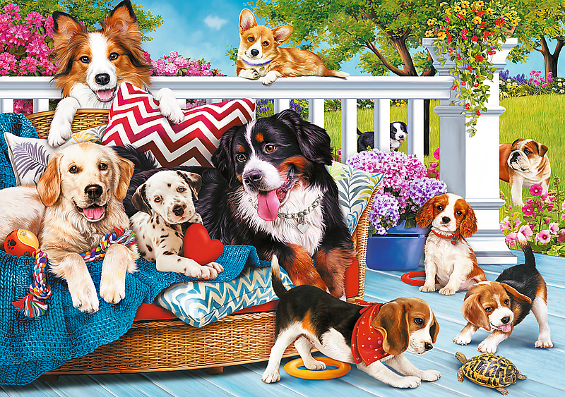 TREFL Prime pusle üliarmsad kutsud, 1000 osa