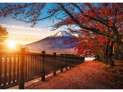 TREFL Premium Plus pusle Mount Fuji, 1000 osa