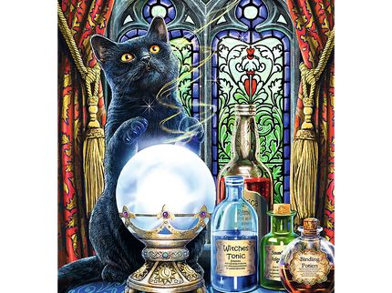 TREFL Premium Plus Pusle Nõia õpipoiss, 1000 osa