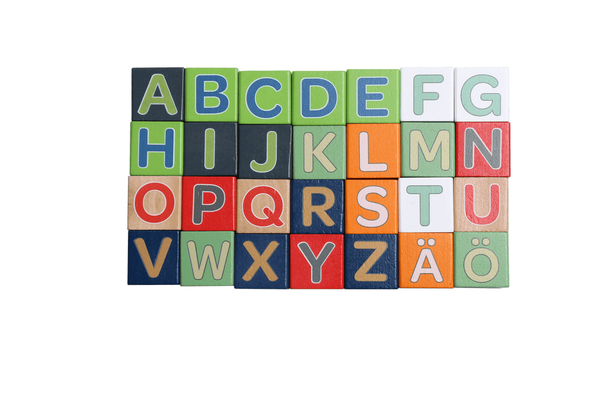 bo. puidust klotsid „Tähestik ja sõnad” FIN