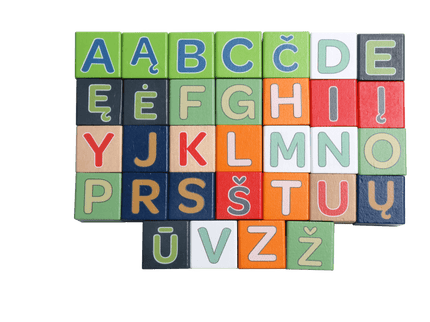 bo. puidust klotsid „Tähestik ja sõnad” LIT