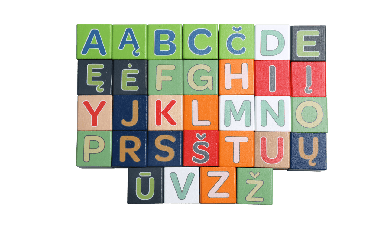 bo. puidust klotsid „Tähestik ja sõnad” LIT