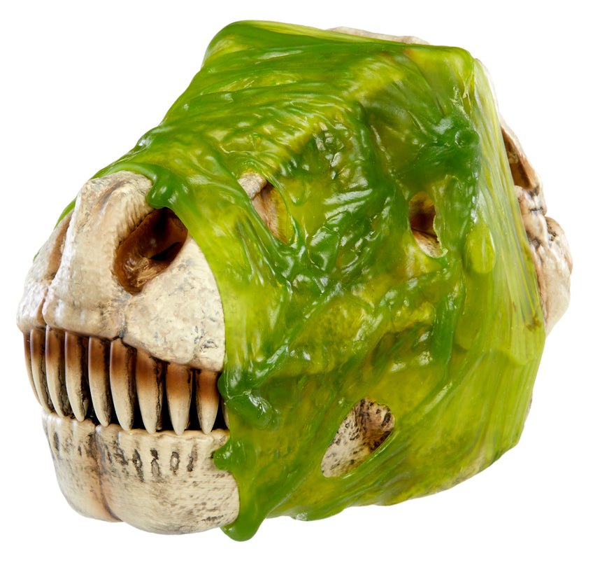 GrossMos interaktiivne mängukomplekt Dinosaurusega