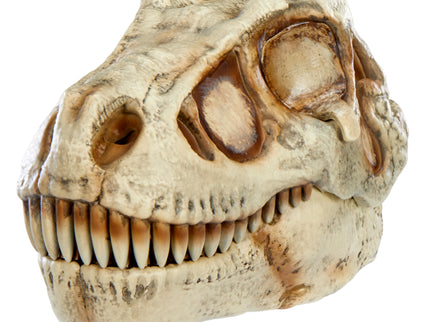 GrossMos interaktiivne mängukomplekt Dinosaurusega