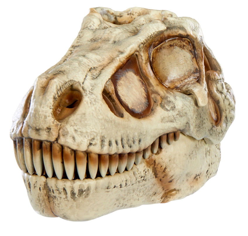 GrossMos interaktiivne mängukomplekt Dinosaurusega