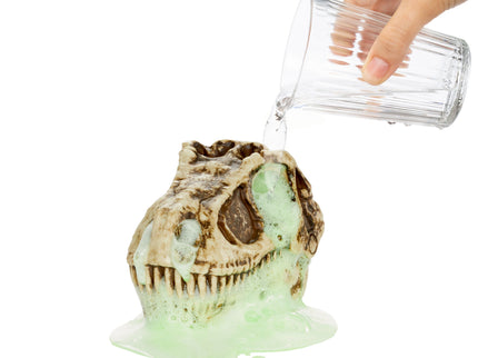 GrossMos interaktiivne mängukomplekt Dinosaurusega