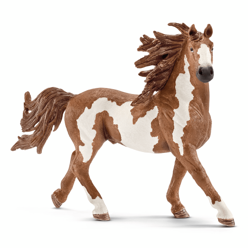 SCHLEICH FARM WORLD Pinto Täkk
