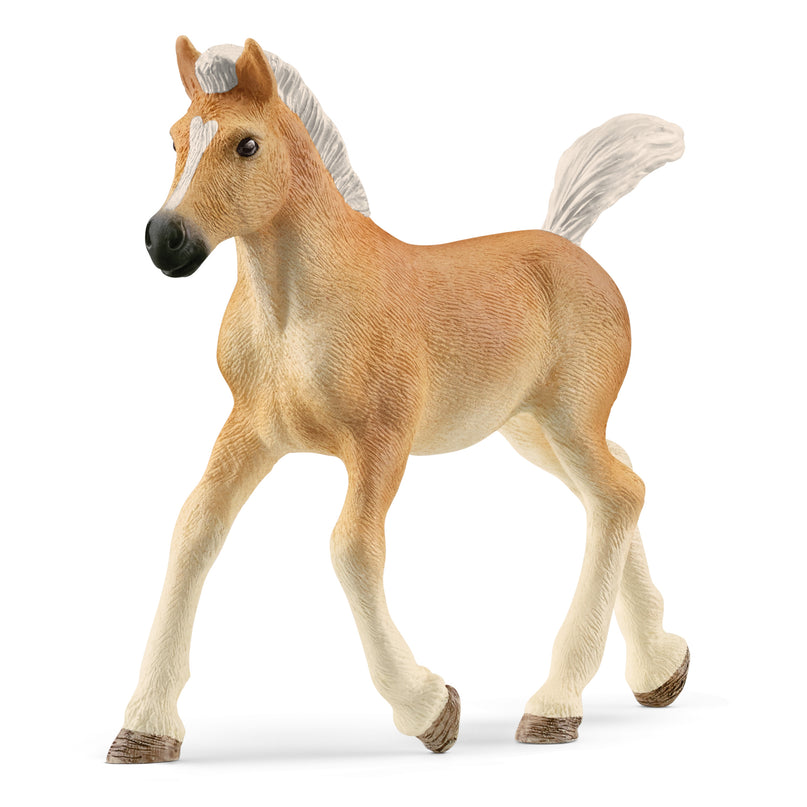 SCHLEICH HORSE CLUB Haflingeri varss