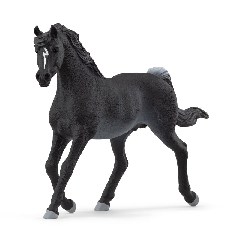 SCHLEICH HORSE CLUB araabia täkk