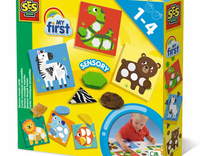 SES Minu esimesed sensoorsed kaardid