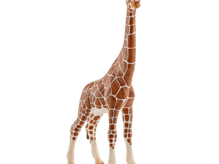 SCHLEICH WILD LIFE Kaelkirjak, emane