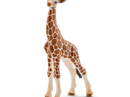 SCHLEICH WILD LIFE Kaelkirjakupoeg