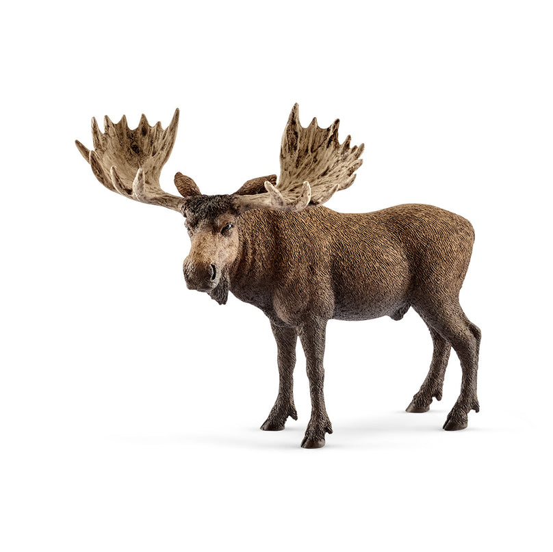 SCHLEICH WILD LIFE Põdrapull