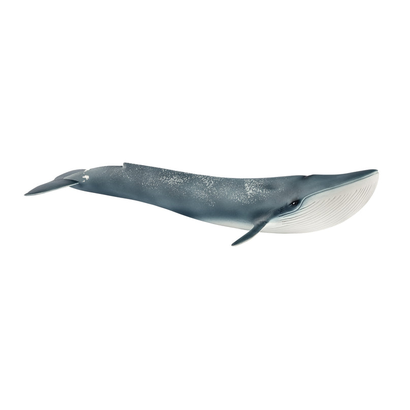 SCHLEICH WILD LIFE Sinivaal