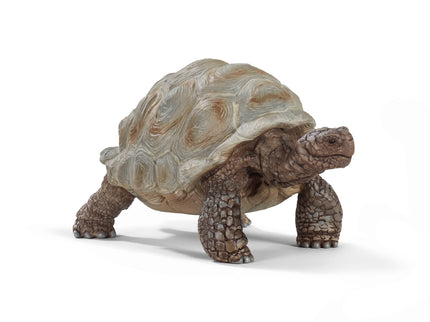 SCHLEICH WILD LIFE Hiidkilpkonn