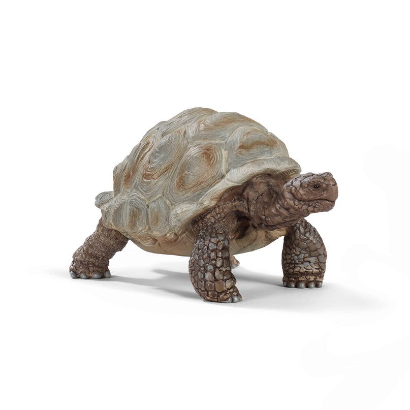 SCHLEICH WILD LIFE Hiidkilpkonn