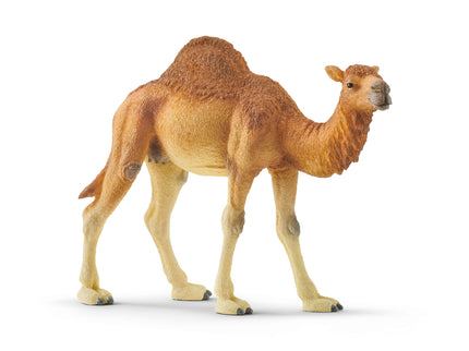 SCHLEICH WILD LIFE Dromedar