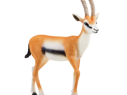 SCHLEICH WILD LIFE Thomsoni gasell