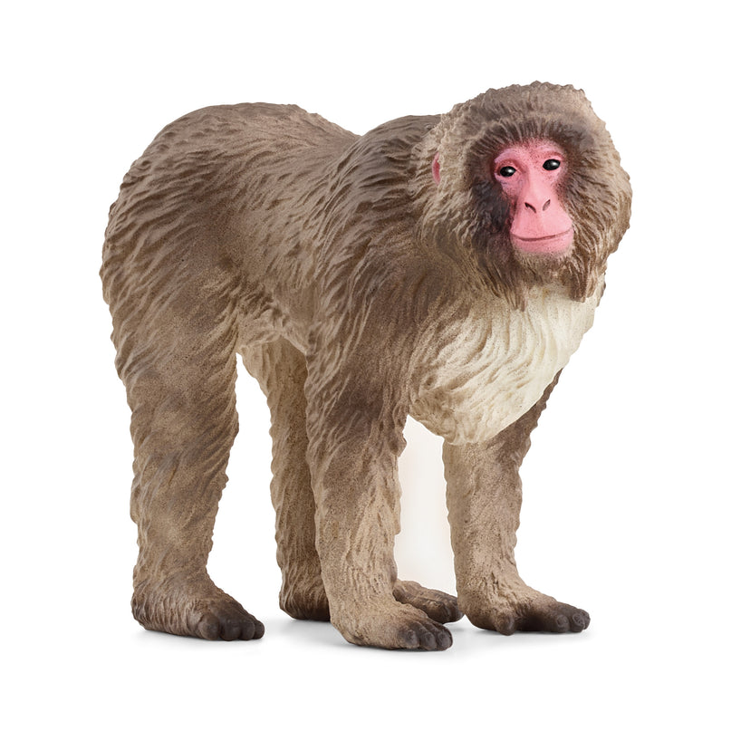SCHLEICH WILD LIFE jaapani makaak