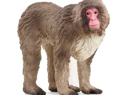 SCHLEICH WILD LIFE jaapani makaak