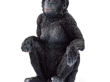 SCHLEICH WILD LIFE kääbusšimpans emane