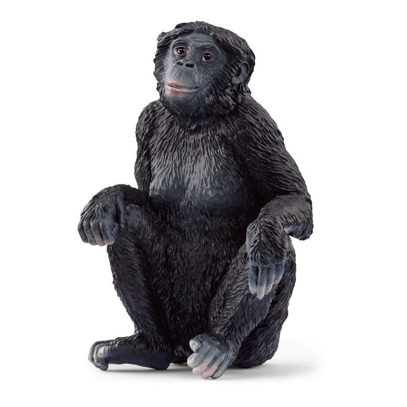 SCHLEICH WILD LIFE kääbusšimpans emane