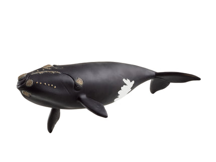 SCHLEICH WILD LIFE Põhjaatlandi vaal