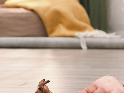 SCHLEICH FARM WORLD Buuri kits